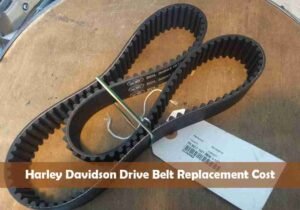 Harley Davidson Drive Belt Replacement Cost