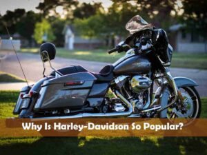 Why Is Harley-Davidson So Popular